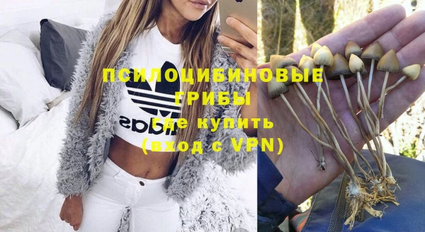 гидра Алексин