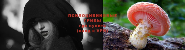 гидра Алексин